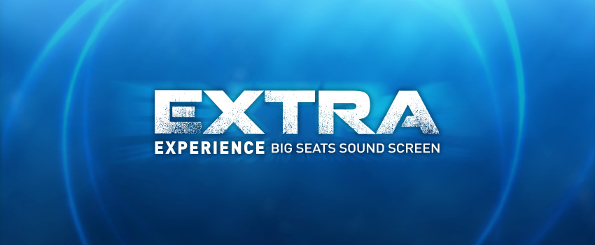 The Extra Experience image